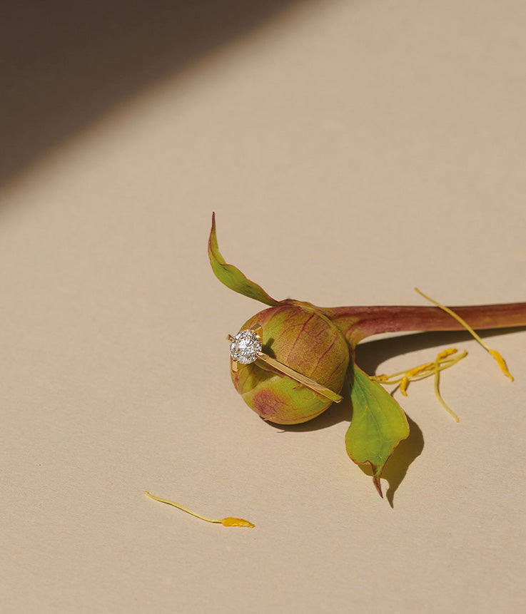 Nachhaltiger Designer Verlobungsring mit Labordiamant steckt auf einer Knospe