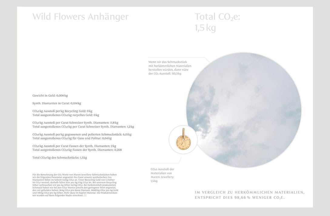 Co2 e Verbrauch Wild Flowers Anhänger