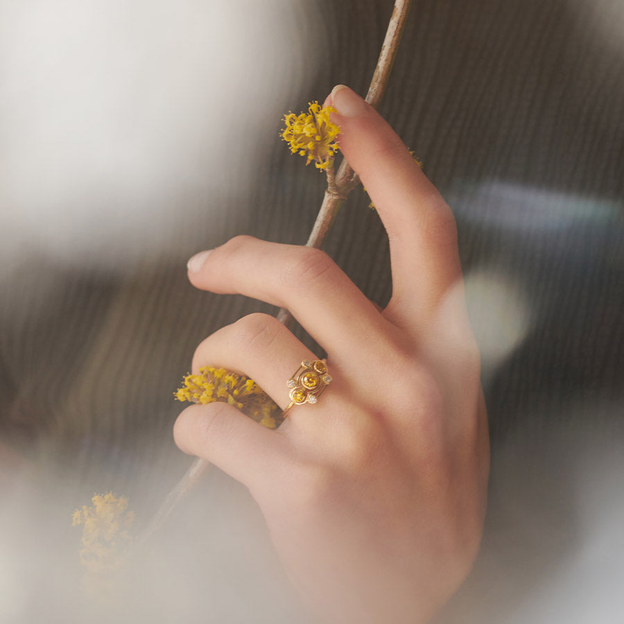 Hand with a large ring holding a flowering branch